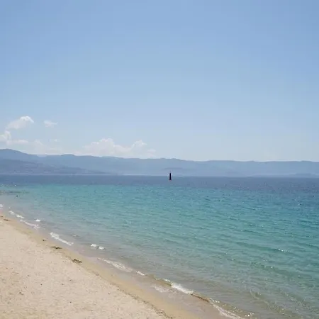 Apartment F2 Type Loft A Ajaccio