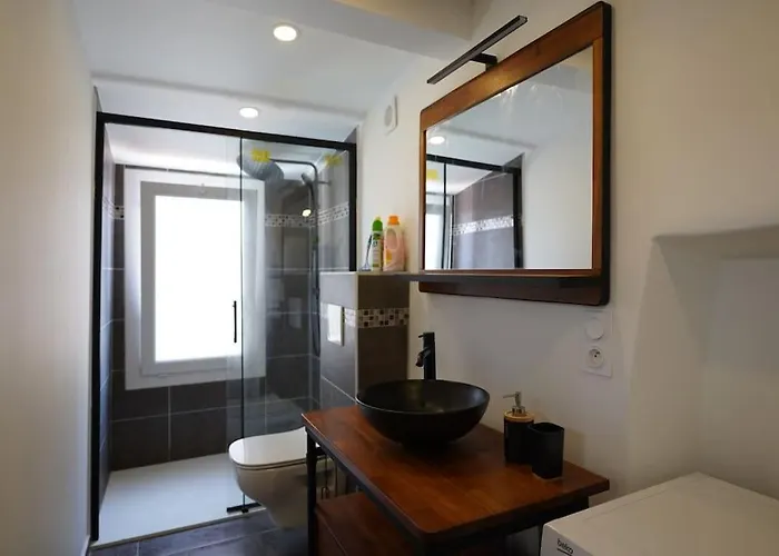 Apartament F2 Type Loft A